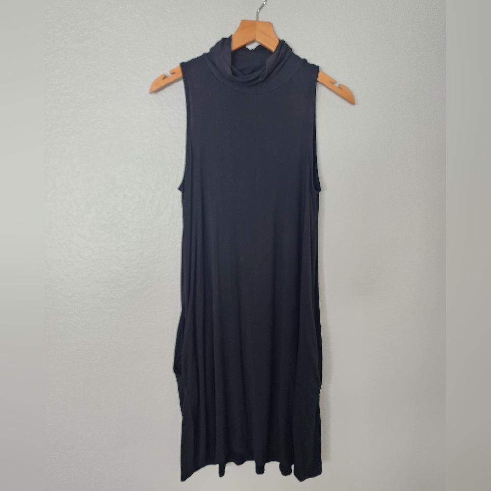 Francesca's Turtle Neck Sleeveless Dress